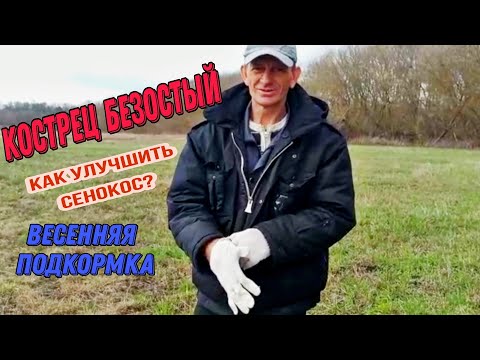 Как улучшить сенокос?