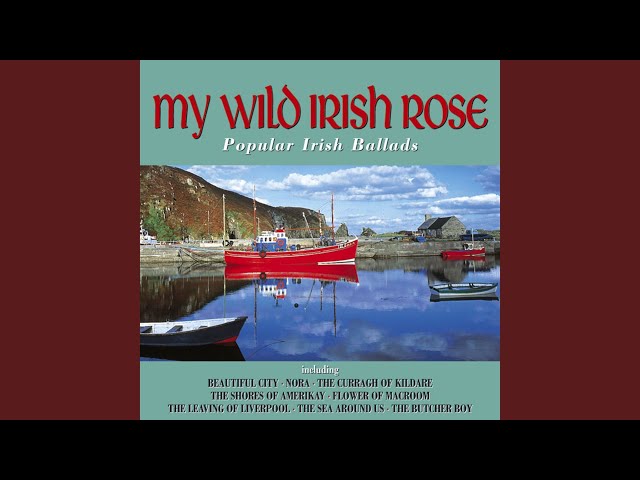 The Ludlows - The Sea Around Us