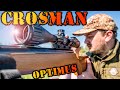 ВИНТОВКА ПНЕВМАТИЧЕСКАЯ CROSMAN OPTIMUS / ОБЗОР/ ПРИСТРЕЛКА / КУЧНОСТЬ