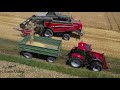 Getreideernte 2022 ( Braugerste ) Massey Ferguson 7345s Activa / 2x Case
