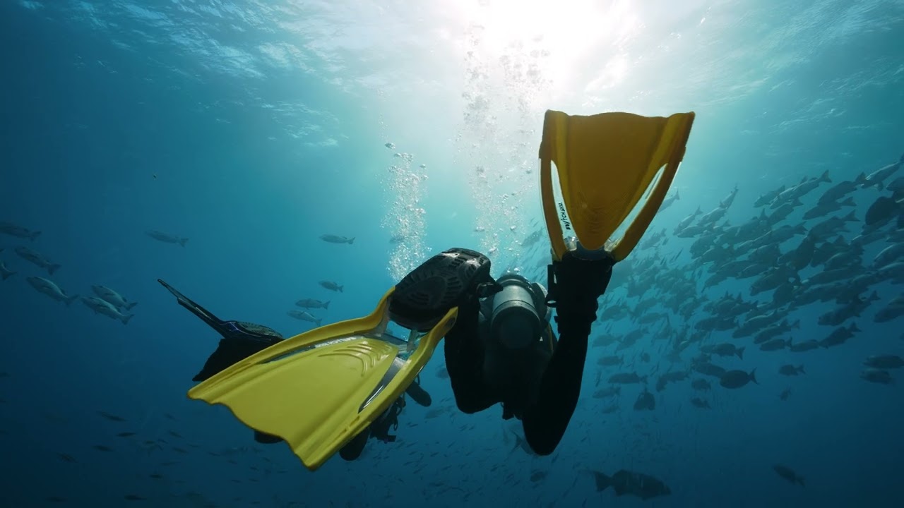 TUSA Hyflex Switch Fins