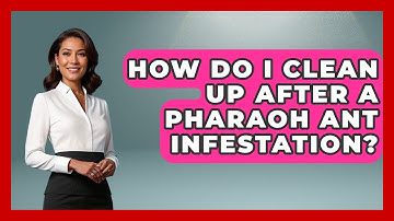 How Do I Clean Up After A Pharaoh Ant Infestation? - Insects and Invaders