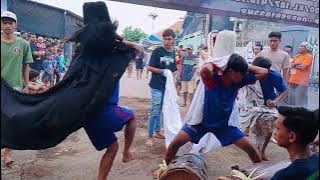 Jepaplokan Joko Lulo