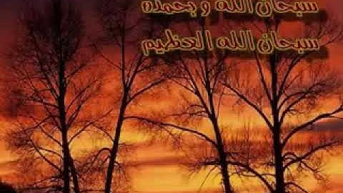 تلاوه حزينه من سورة الأنبياء😥