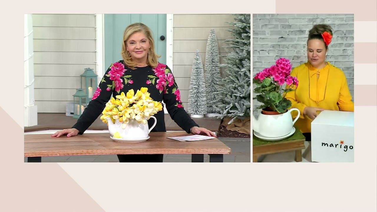 Marigold Ceramic Teapot and Saucer Planter with Gift Box on QVC