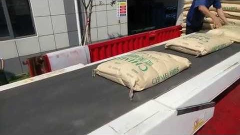 ABB Palletizing robot for bags with truck/container unloading system