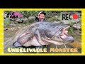 Giant 230 lbs catfish over 8 feet long fishing on a river by catfish world