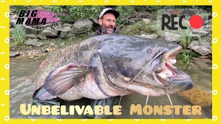 Giant 230 lbs catfish over 8 feet long fishing on a river by Catfish World