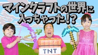 ★実写版マインクラフト！「マイクラの世界に入っちゃった～」★Live Action Mine Craft★