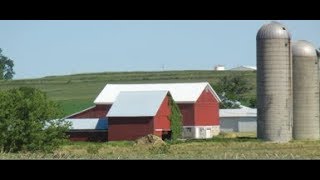 Eggs 101 - Barns Profile