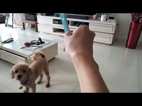 Test Video 1