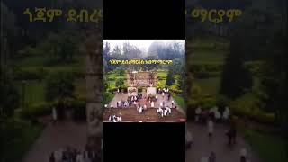 #ethiopia #music #gojjam #duet #eesa #viralvideo #habesha #live #voiceeffects #story #eritreanmusic