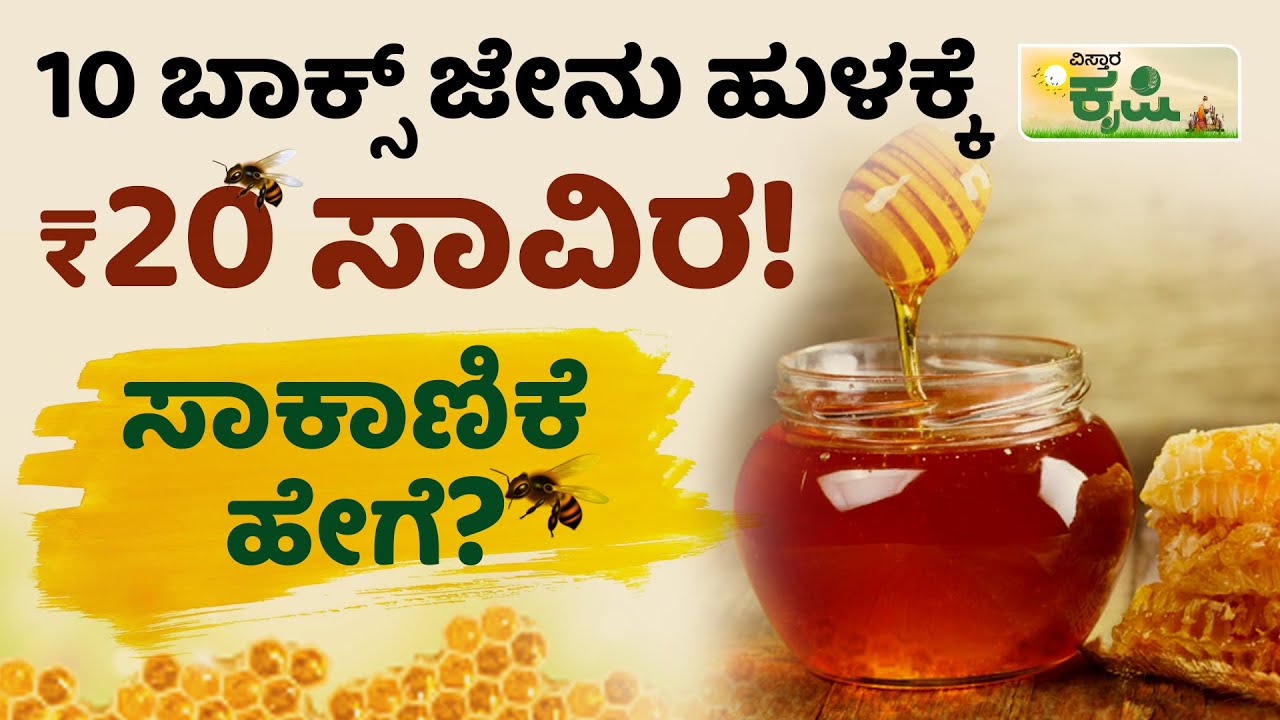 10 ಬಾಕ್ಸ್‌ ಜೇನು ಹುಳಕ್ಕೆ 20 ಸಾವಿರ! ಹೇಗೆ ಸಾಕುವುದು?| Honey Bee Farming | Jenu Sakanike | Vistara Krishi