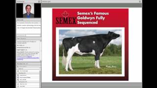 Potential and Pitfalls for Genomic Selection