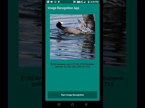 Image Recognition Application using Edge Computing Android App