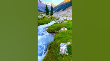 قران كريم 15 ثانية صوت خاشع يريح القلب