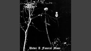 Unholy Black Metal (Studio)