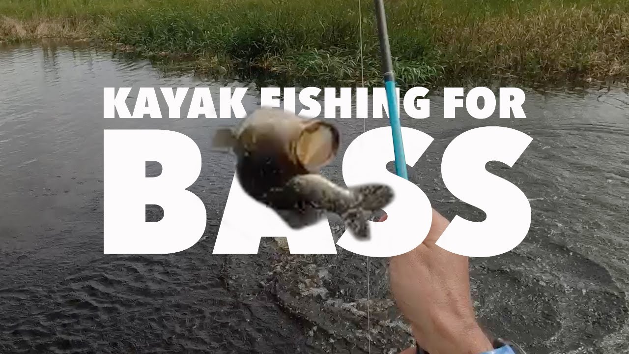 I forgot how much I love Florida bass fishing.