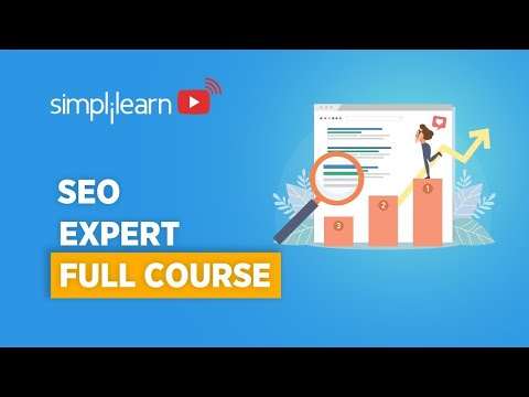 seo experts frome