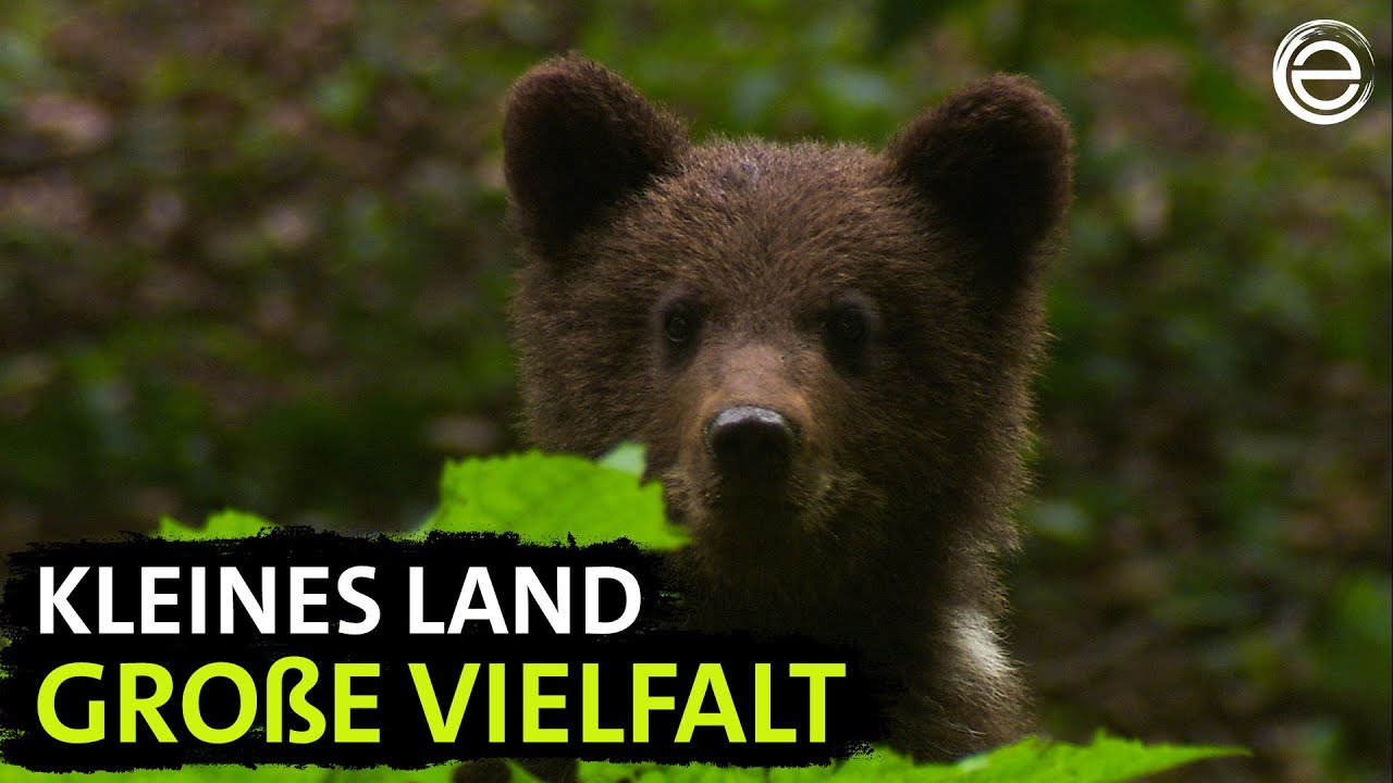 Kroatien ‒ Naturparadies zwischen Donau und Adria | Erlebnis Erde