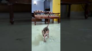 Kitne Horsepower ka Engine hai is car ka? | Billi kam aur chuhiya jyada lag rahi hai