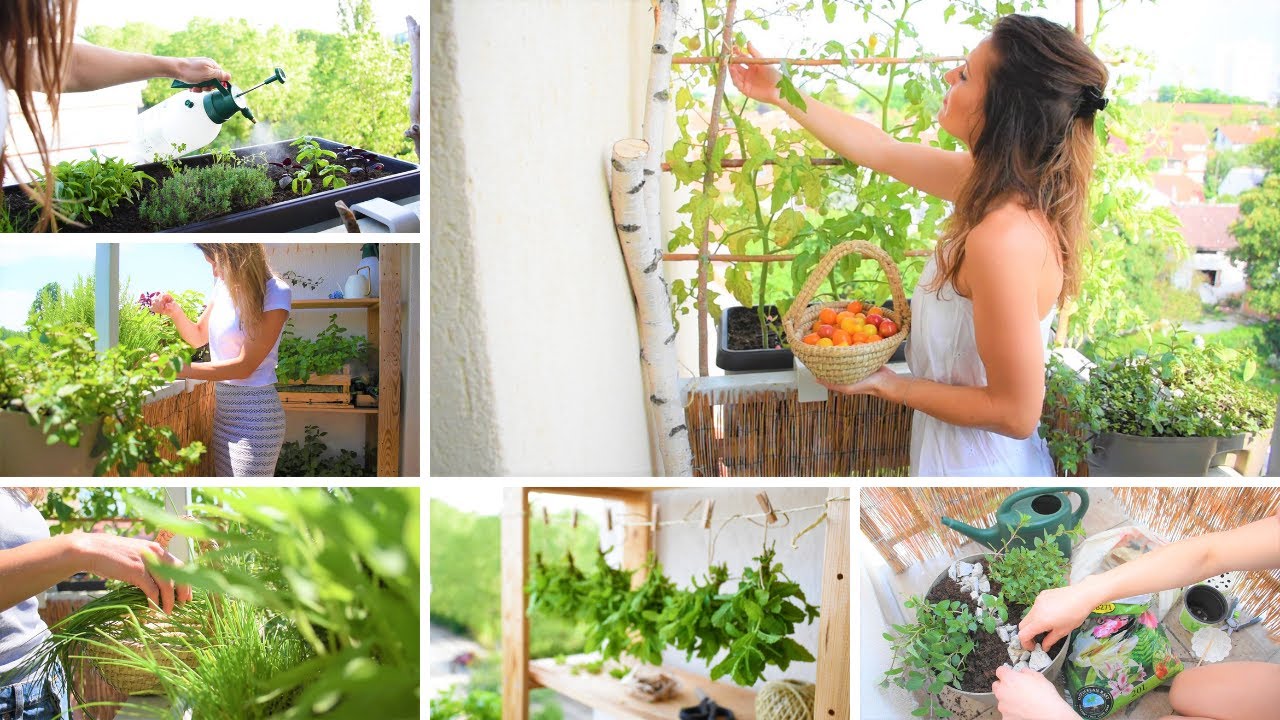 MOJ VRT NA BALKONU – Kroz Cijelu Godinu (20/21)