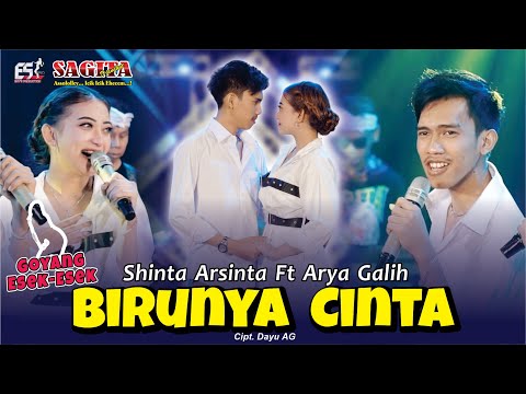Shinta Arsinta feat Arya Galih - Birunya CInta | Goyang Esek Esek | Dangdut (Official Music Video)
