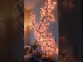 Đèn Led hoa anh đào