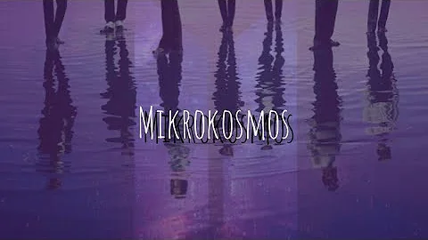 BTS - 소우주 (Mikrokosmos) | Karaoke With Backing Vocals