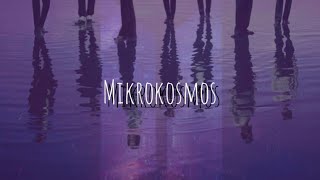 BTS - 소우주 (Mikrokosmos) | Karaoke With Backing Vocals