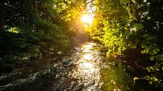 VOICE OF THE RIVER - NO AI ambient music for connecting with nature