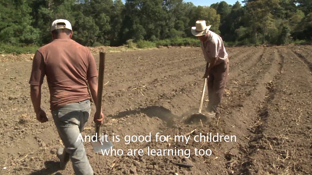 What soil means to me Honduras IYS2015