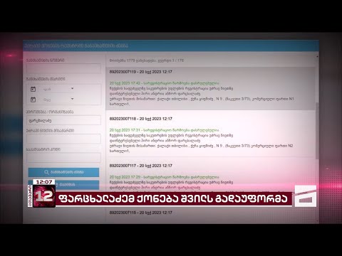 რა ქონება აჩუქა ფარცხალაძემ შვილს დაჩქარებული წესით