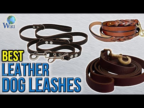 10-best-leather-dog-leashes-2017