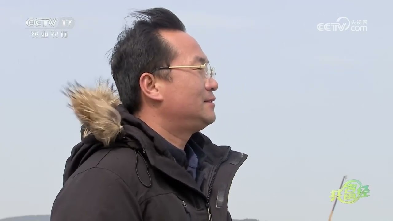 《共富经》 20260309 牡蛎上岸记 | 农业致富经 Agriculture And Farming