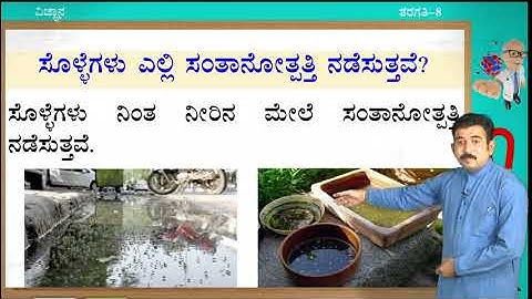 Samveda - 8th - Science - Microbes (Part 3 of 3) - Day 26