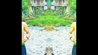 DENGARLAH KESAYANGANKU X AKU MASIH DISINI UNTUK SETIA JUNGLE DUTCH 2020#dijaminTinggi