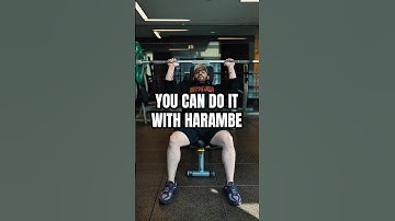 Harambe System. Premium resistance band training. #resistancebands #homegym #bands #harambesystem