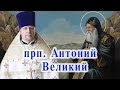 Прп. Антоний Великий. Проповедь священника Димитрия Лушникова 30 января 2021