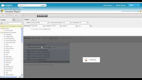 Creating Custom Reports with New Report Builder in Salesforce.com