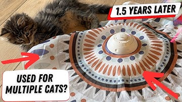 Amazon Finds - Potaroma Cat Toy - Product Review - Rechargeable Hide and Seek Fluttering Butterfly