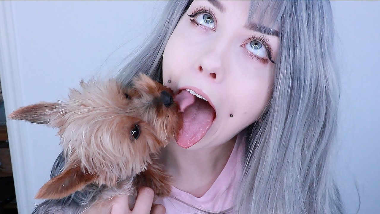 WHEN YOU FINALLY GET TO DOG SIT