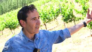Bierzo - Prada A Tope - Collaborative Winemaker - Episode 43 - Winedos
