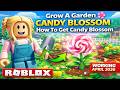 👉 Grow A Garden Candy Blossom 🌸 How To Get Candy Blossom (Working April 2026 Roblox)