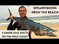 4 Spearfishing Spots to Shore Dive on the Gold Coast, QLD Australia