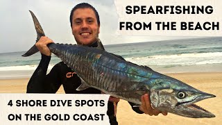 4 Spearfishing Spots to Shore Dive on the Gold Coast, QLD Australia