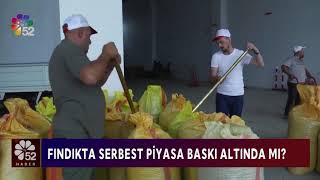 Fındık Fiyatları Baskı Altında. Tmo Alımları Yoğunlukta. Serbest Piyasada Hala Artış Yok