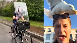 75 INCREDIBLE And Funny Moments / When Cameras Capture CRAZY Moments Live! screenshot 3