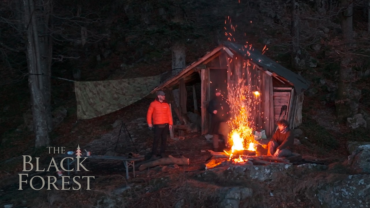 The Black Forest – A Winter Night Above the Clouds | Shelter & Fire 🌲