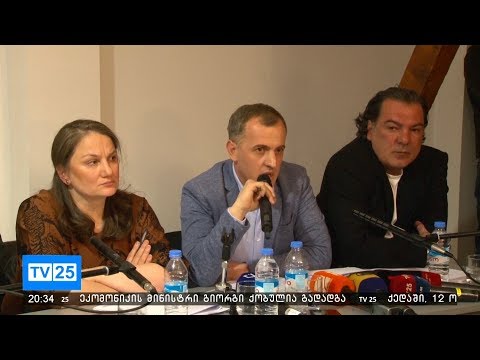რას უწუნებს მრჩეველთა საბჭო ნათია კაპანაძეს?